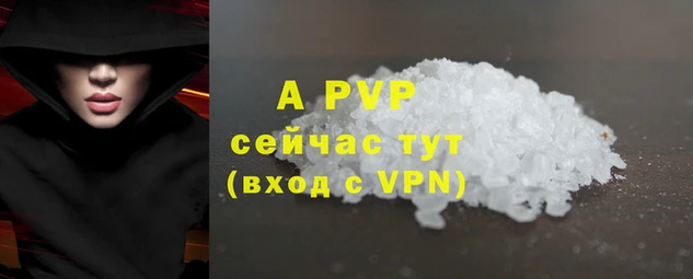 ГАЛЛЮЦИНОГЕННЫЕ ГРИБЫ Белоозёрский