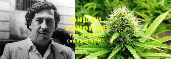 ГАЛЛЮЦИНОГЕННЫЕ ГРИБЫ Белоозёрский