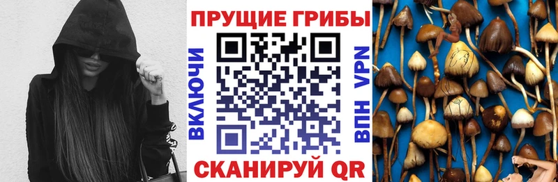 Псилоцибиновые грибы Cubensis  kraken зеркало  Еманжелинск 